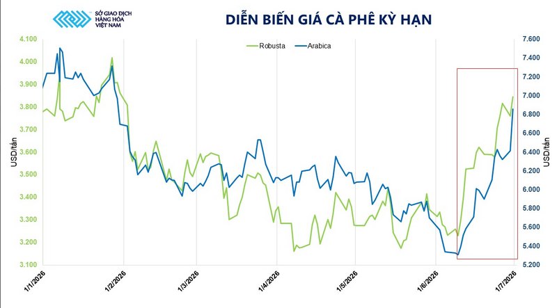 Diễn biến giá cà phê kỳ hạn. Nguồn: MXV
