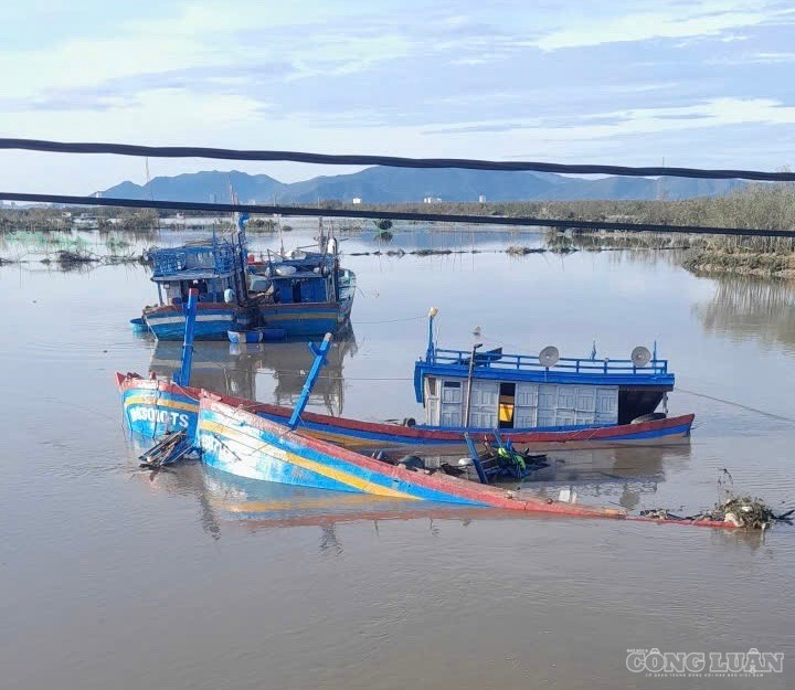 2 con tàu của ông Thế bị sóng đánh chìm vào thời điểm cơn bão số 13 năm 2025 clo_br_1782968544982-7629444618048170129-7629444618048170129-7d55a918229d23f105dab71ad8eb97f0.jpg