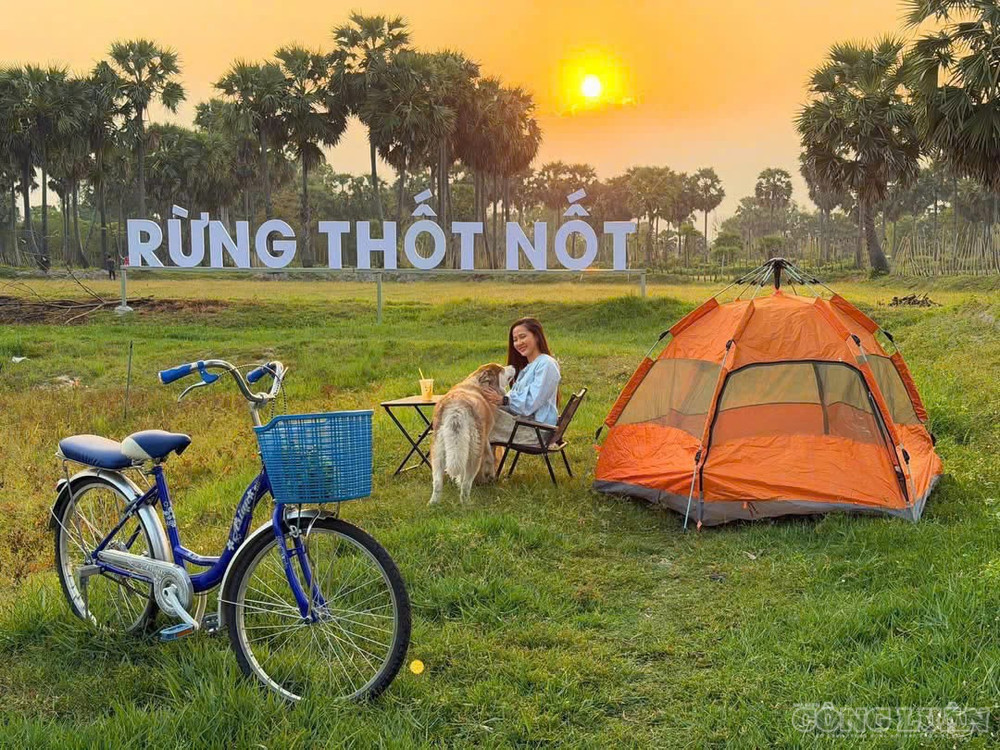 Khu du lịch cộng đồng tại ấp Đây cà Hom, xã An Cư, An Giang đang thu hút nhiều du khách gần xa (Ảnh:Trí Trần) clo_br_rung.jpg