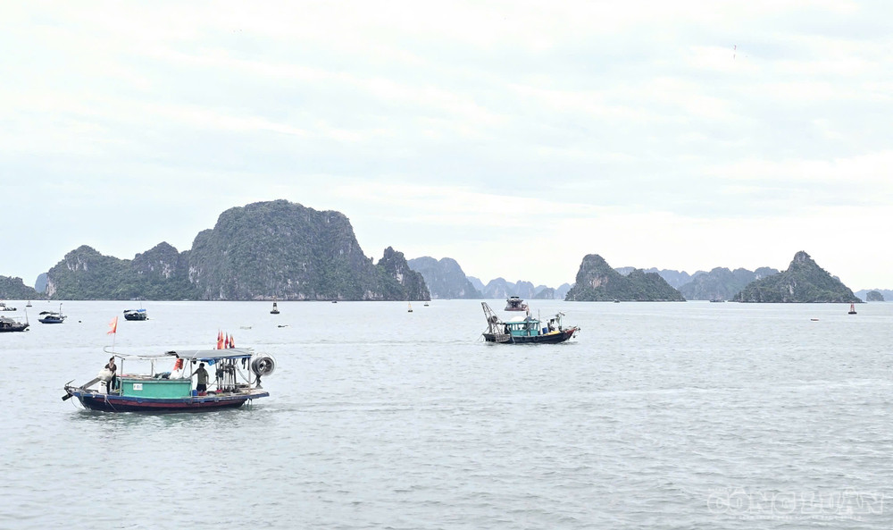 Quảng Ninh có bờ biển dài, tập trung nhiều đảo, quần đảo có giá trị bậc nhất thế giới. clo_br_2-quy-hoach-quang-ninh.jpg