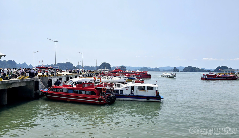 Du lịch, dịch vụ là một ngành kinh tế mũi nhọn của tỉnh. clo_br_1-quy-hoach-quang-ninh.jpg