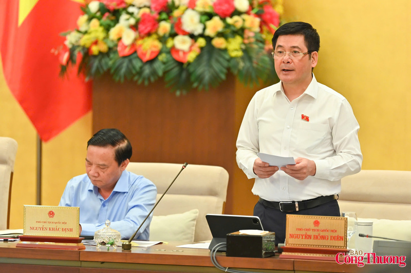 Phó Chủ tịch Quốc hội Nguyễn Hồng Diên phát biểu kết luận nội dung làm việc.