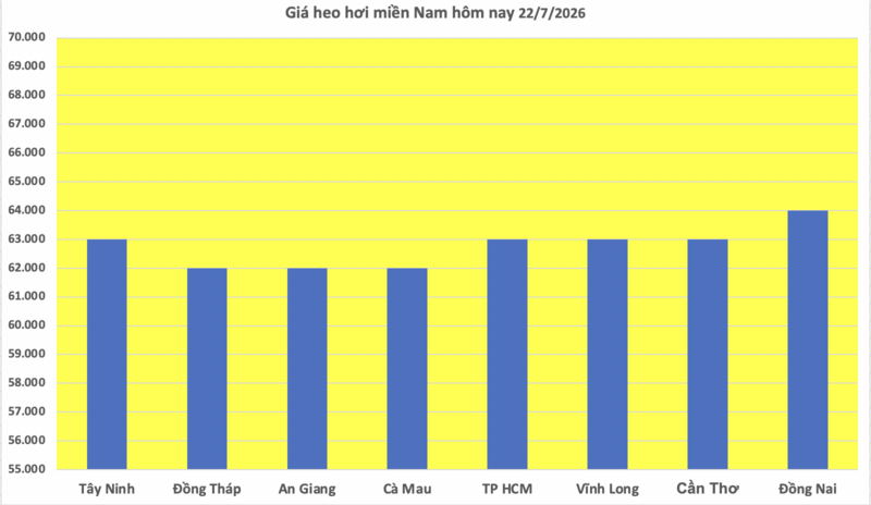 Giá heo hơi hôm nay 22/7/2026: Giảm cục bộ tại miền Bắc - 3