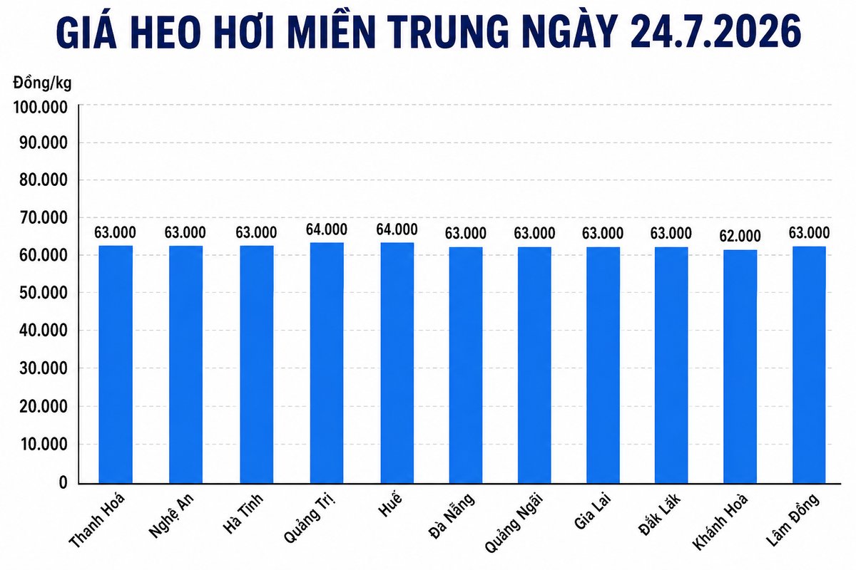 Giá heo hơi hôm nay 24.7 tại khu vực miền Trung. Đồ họa sử dụng AI