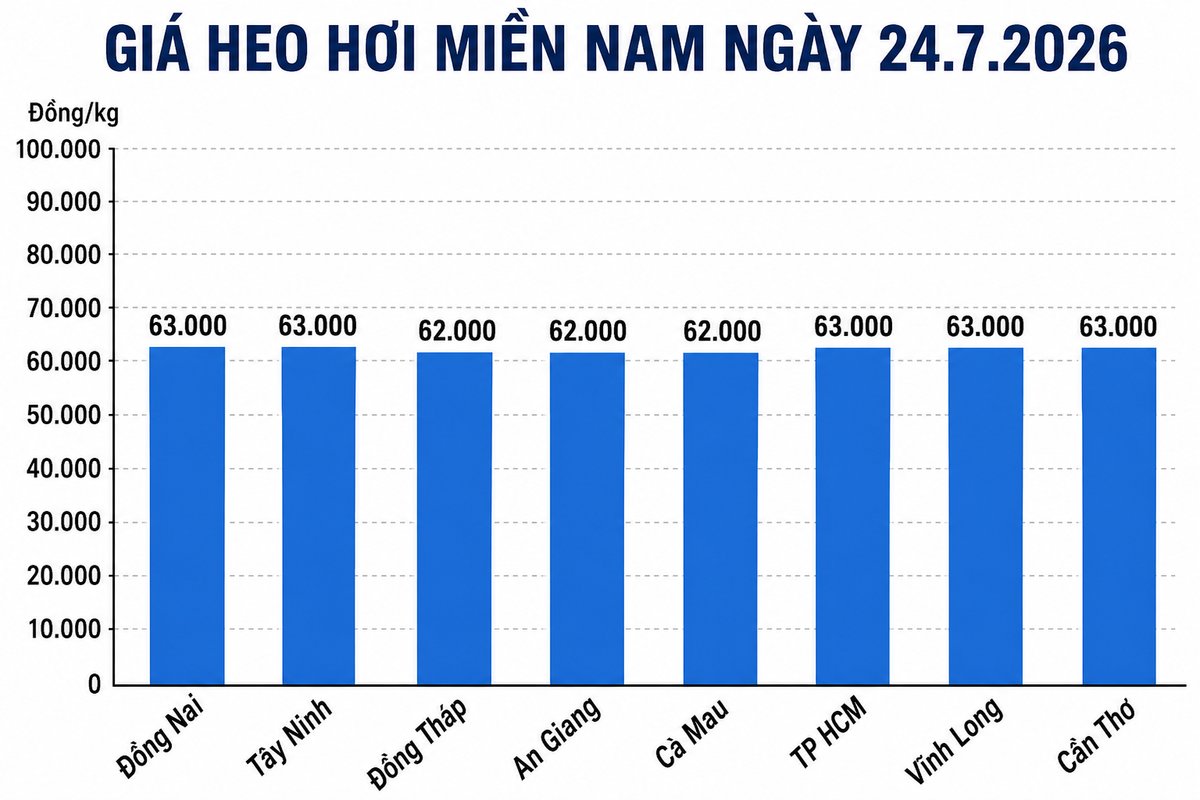 Giá heo hơi hôm nay 24.7 tại khu vực miền Nam. Đồ họa sử dụng AI