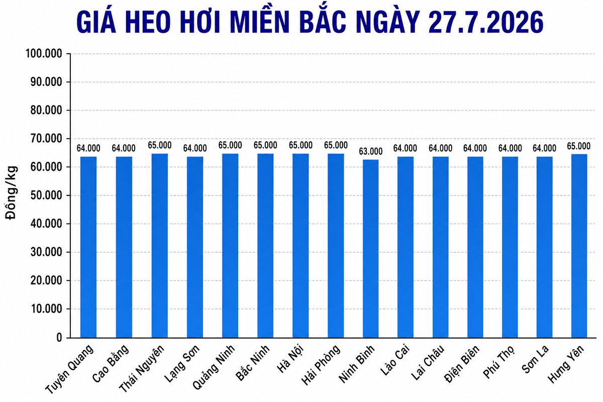 Giá heo hơi hôm nay 27.7 tại khu vực miền Bắc. Đồ họa: Thùy Linh