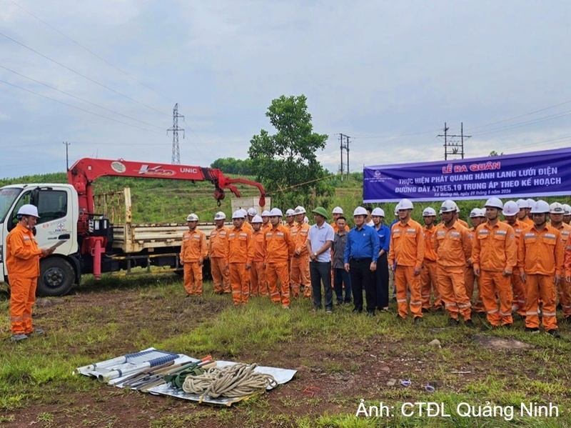 Quy trình an toàn điện và các quy định hiện hành phải được tuân thủ nghiêm ngặt