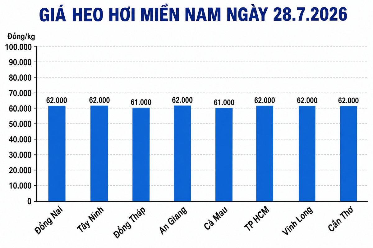Giá heo hơi hôm nay 28.7 tại khu vực miền Nam. Đồ họa: Thùy Linh