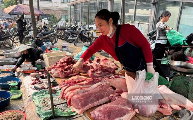 Giá heo hơi hôm nay 28.7: Tiếp tục giảm, cao nhất ở mức 65.000 đồng/kg