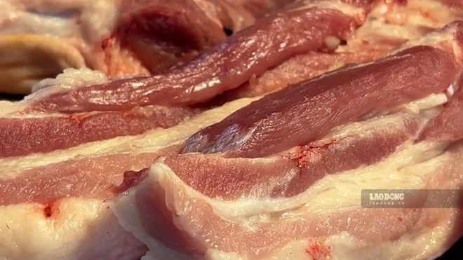 Giá heo hơi hôm nay 31.7: Tiếp tục sụt giảm, thấp nhất là 60.000 đồng/kg