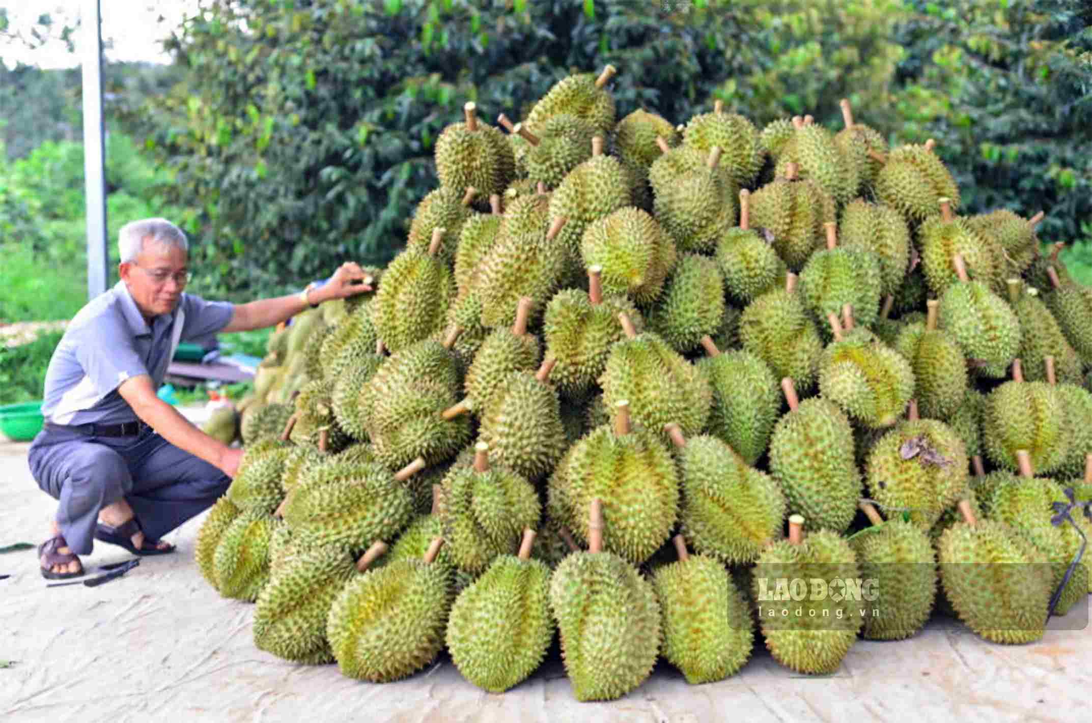 Nhiều