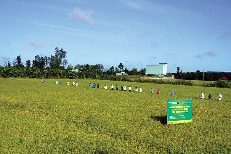 An ninh năng lượng - Nền tảng bảo đảm an ninh lương thực và ổn định kinh tế