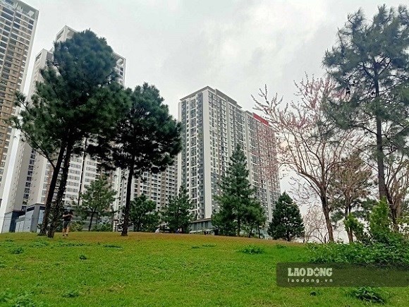 Bất động sản chịu nhiều áp lực, một nhóm doanh nghiệp vẫn giữ lợi thế