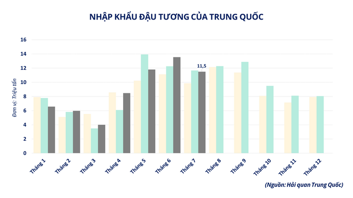 Nhập khẩu đậu tương của Trung Quốc.