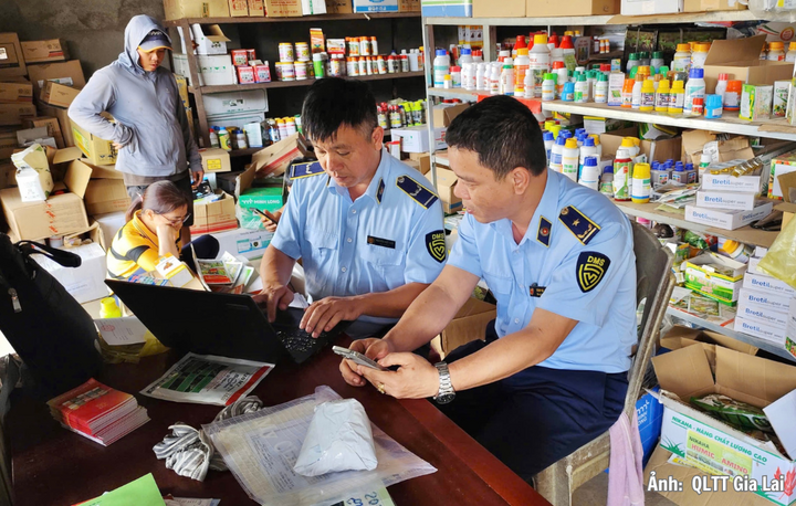 Lực lượng chức năng kiểm tra chuyên đề tại một cửa hàng kinh doanh trên địa bàn tỉnh Gia Lai.