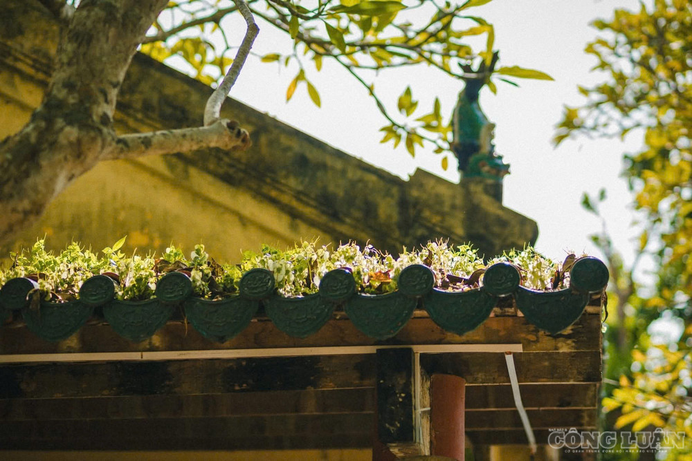 Điểm nhấn dễ nhận thấy và ấn tượng nhất chính là hệ thống mái ngói cong - đặc trưng không thể thiếu trong kiến trúc chùa Khmer. clo_br_1788932017685-1510208127611199446-1510208127611199446-f8b48c3c9aff336b47a325d085b2b3c2.jpg