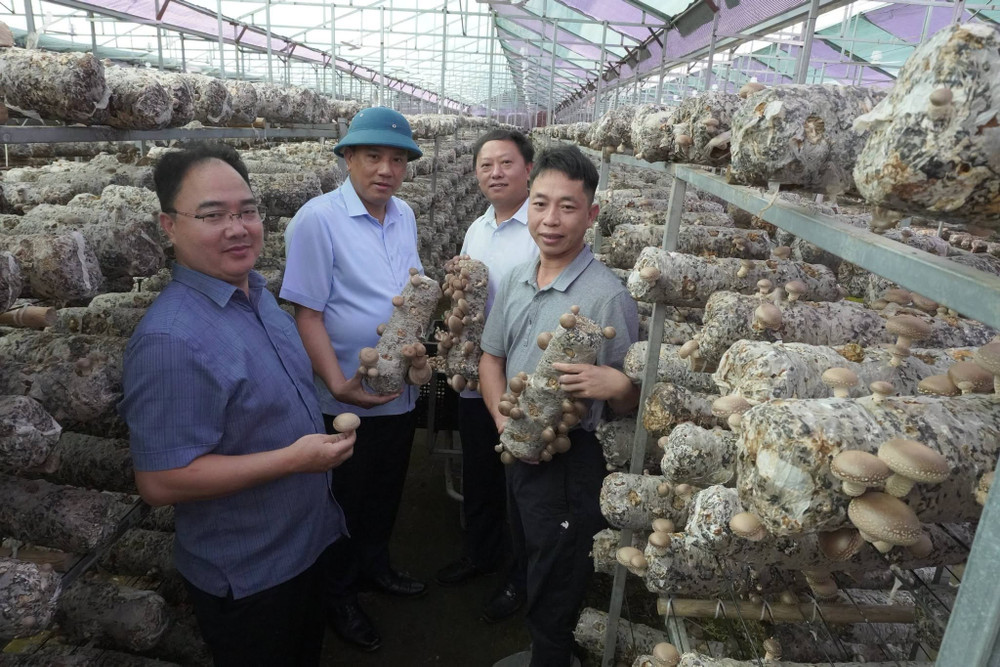 Hoạt động của các hợp tác xã ngày càng gắn với sản xuất và tiêu thụ sản phẩm địa phương. Ảnh: laocai.gov.vn 790476859-945081177940863-2611019180851647379-n.jpg
