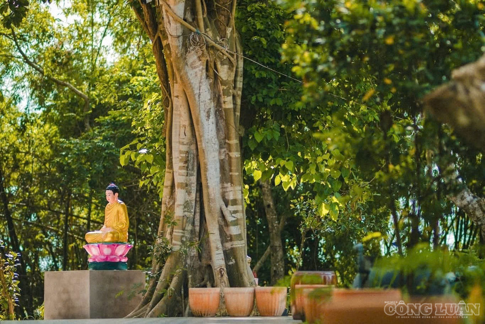 Bao bọc lấy khối kiến trúc lộng lẫy là một khuôn viên rộng lớn, rợp bóng cây xanh mướt và những hồ nước trong vắt. Không gian này giúp làm dịu đi cái nắng oi ả của vùng đất Nam Bộ, tạo nên một cõi thiền tịnh tuyệt vời để con người thư giãn, chiêm nghiệm. clo_br_1788932017676-1510208127611199446-1510208127611199446-d133268365beed40d52cff85a4dc5669.jpg