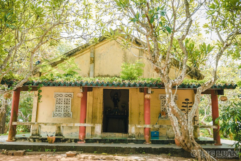 Ngôi chùa được khởi dựng vào năm 1785 do ông Dương Quang Sơn, một người Hoa gốc Triều Châu và cộng đồng người Khmer sinh sống tại nơi đây cùng nhau xây dựng. clo_br_1788932017671-1510208127611199446-1510208127611199446-077d8e8b0b885240b1e0969a4fdf972a.jpg
