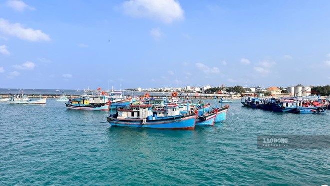 Rà soát tiền hỗ trợ nhiên liệu cho ngư dân Phú Quý sau nhiều năm chậm chi trả