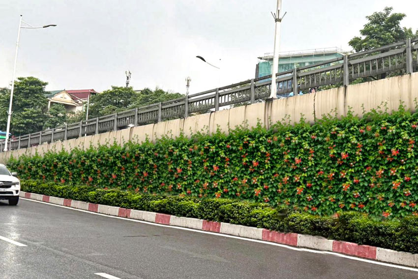 Phối cảnh dự kiến giàn leo tường chắn dốc tại cầu vượt. Ảnh: Đơn vị thi công