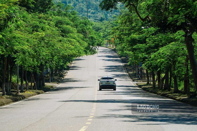 Sắp khởi công dự án chỉnh trang đô thị hơn 300 tỉ đồng ở Đồ Sơn, Hải Phòng