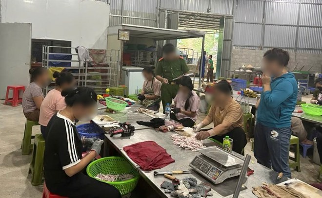 Thu giữ hơn 5 tấn chân gà không rõ nguồn gốc ở Lạng Sơn