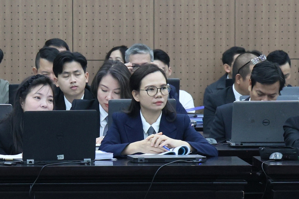 Đội ngũ luật sư công và luật sư hành nghề giúp bảo vệ tối đa lợi ích của Nhà nước. Ảnh: H.H do-thi-anh-tuyet.jpg