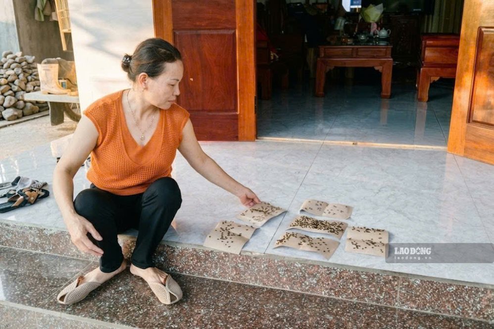 Dù số lượng ruồi đã giảm nhưng vẫn xuất hiện nhiều tại nhà dân vào chiều ngày 20.10. Ảnh: Thanh Trung